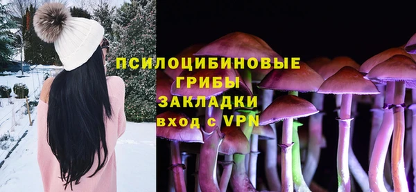 дмт Алексин
