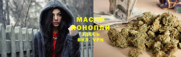 дмт Алексин
